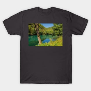 River Una Near Orasac in Bosnia T-Shirt